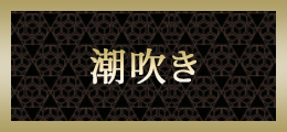 町田 潮吹き【熟女の風俗最終章 町田店】